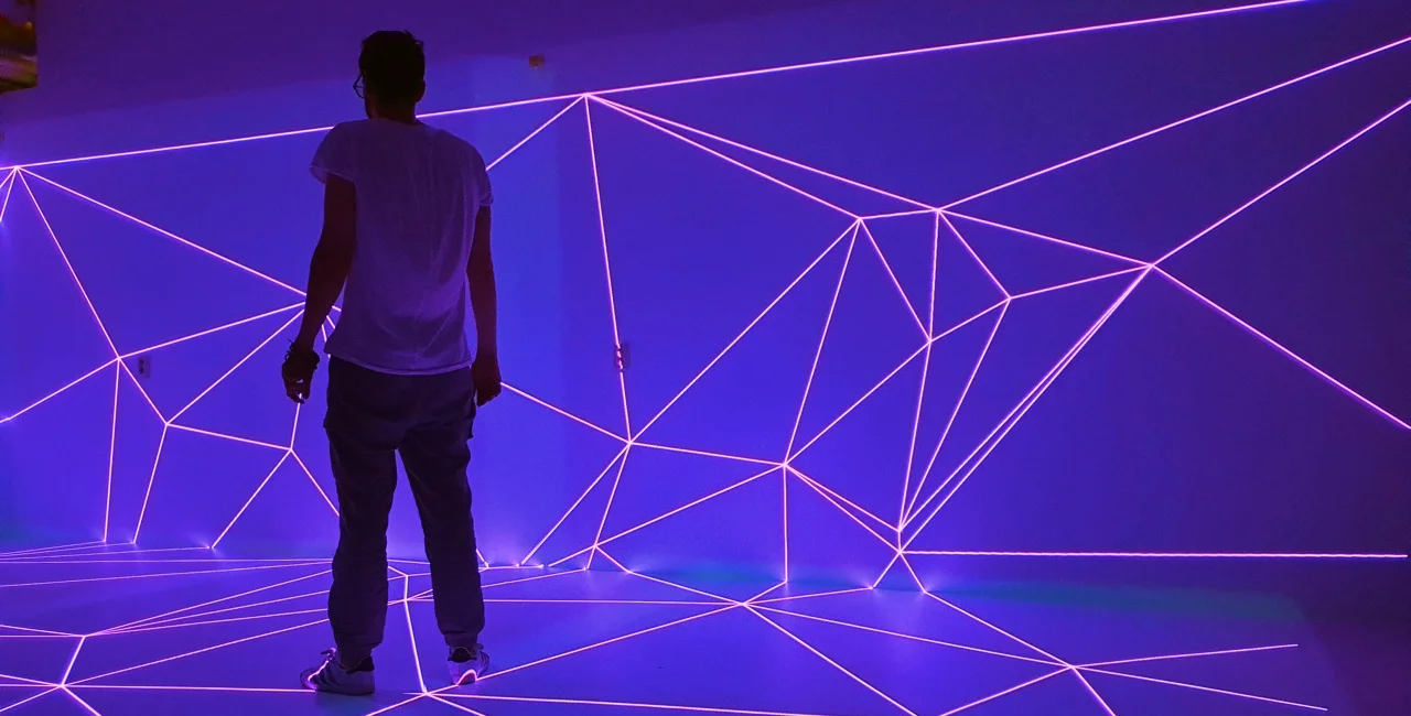 Signal Festival: 5 must-see installations plus a visitor's survival guide