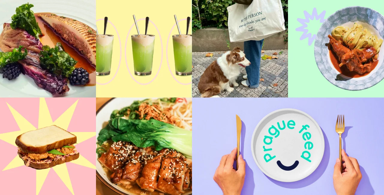 Šnycl Jana Punčocháře, Parzival restaurant, Takumi Praha, Patê Bakery, Tea Field