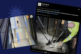 Off the leash and off schedule: Young pup causes chaos on Prague metro