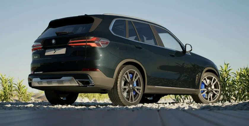 BIRNE 10-2025 image (5)