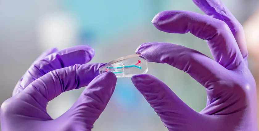 LUSH 10-2025 Emulate-orgán na čipu