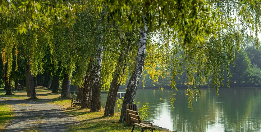 NOVÁ KVĚTNICE 10-2025  NovaKvetnice-galerie-okoli-007