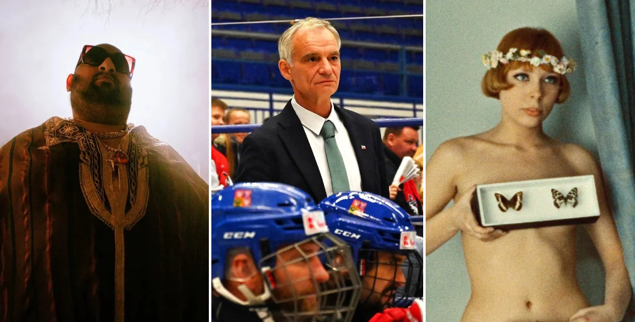 Do the Maeth / Invincibles / Daisies