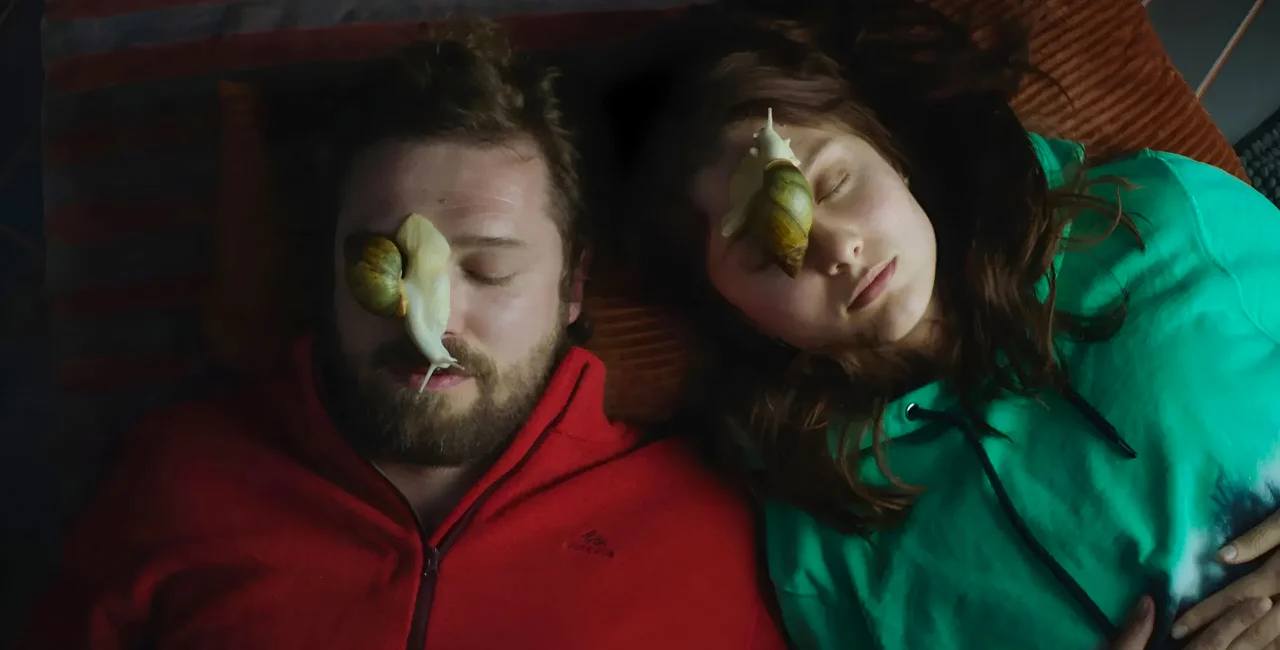 Lights, camera, November: Prague sees film festivals every weekend this month