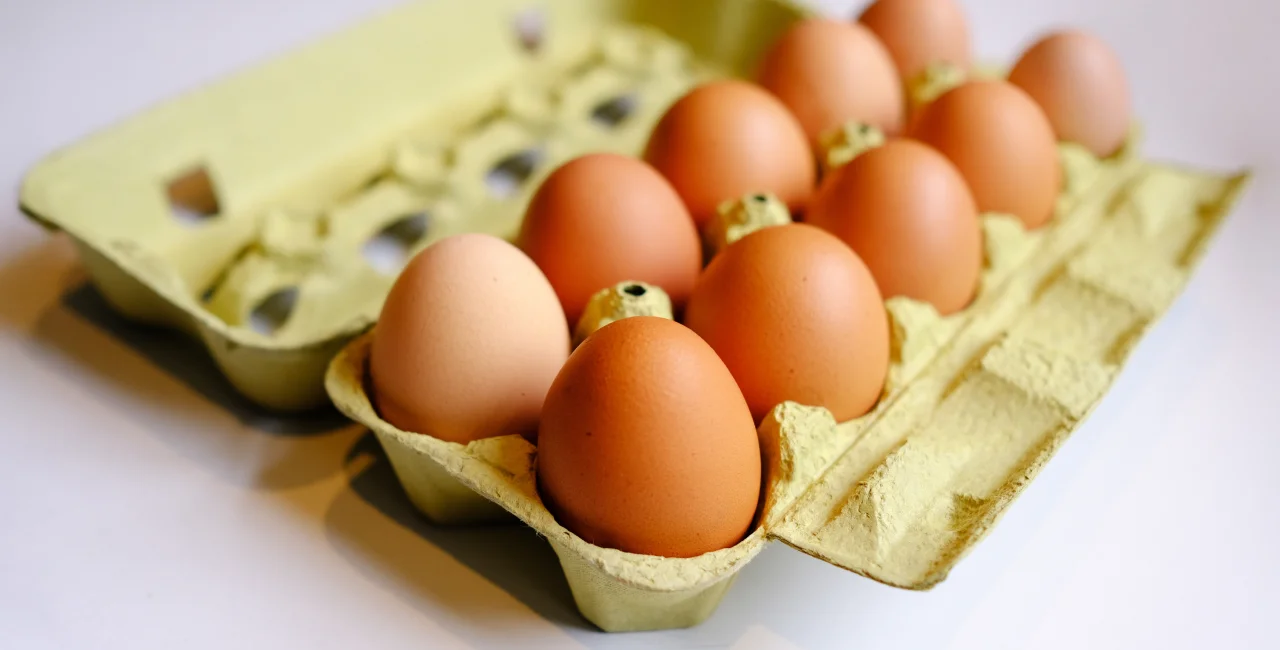 How bird flu and a new EU law may make your Czech Christmas pricier