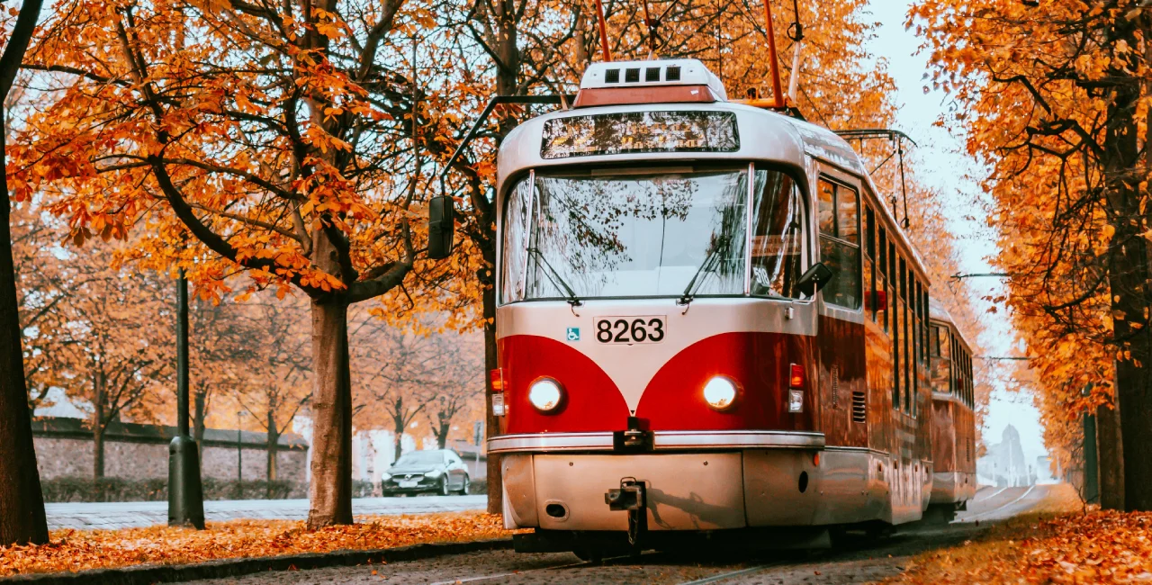 Shutterstock / Martin Gregor