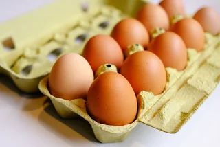 How bird flu and a new EU law may make your Czech Christmas pricier