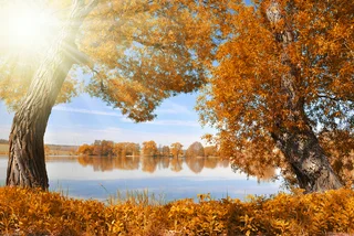 Sunny ‘granny summer’ coming this week – what’s behind the Czech name?