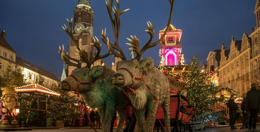 POLAND 11-2025  13 Wrocław fot. UM Wrocławia