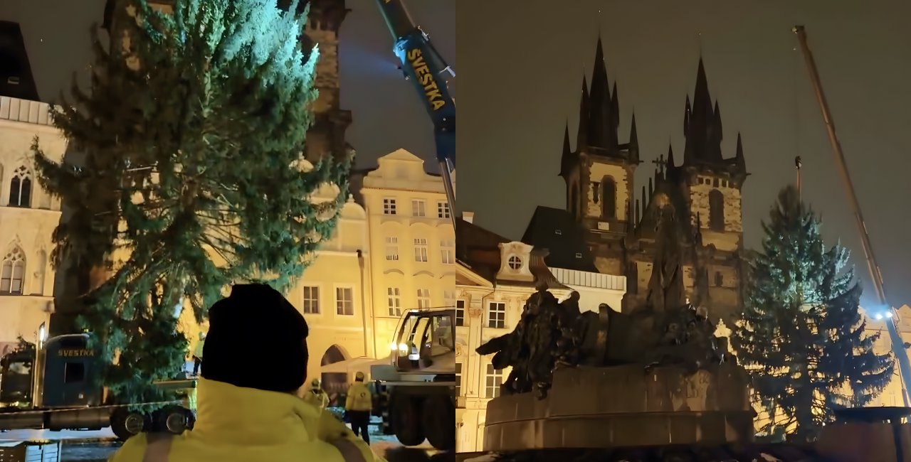 Prague's Old Town Square officially welcomes centerpiece Christmas tree