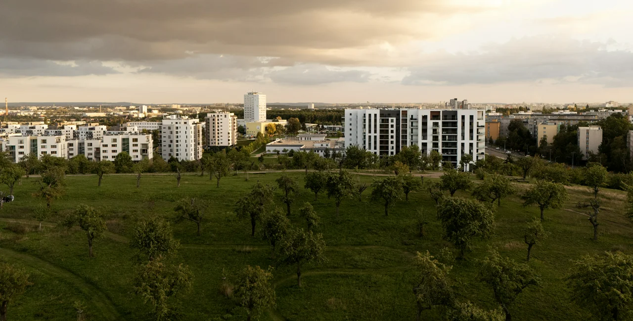 Daramis 01-2026  foto-jiribednar-011 CROP2