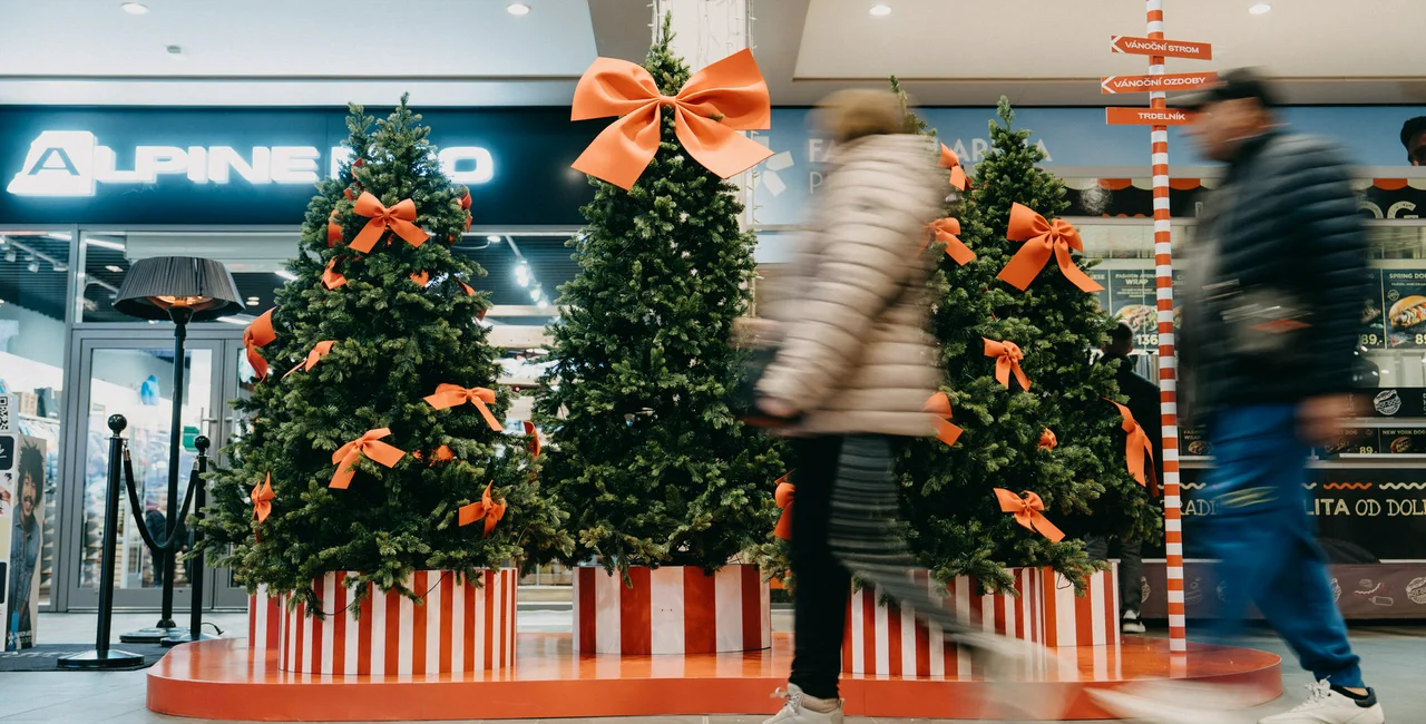 Holiday shopping by personality type: Gifts expats in Czechia will be happy to unwrap