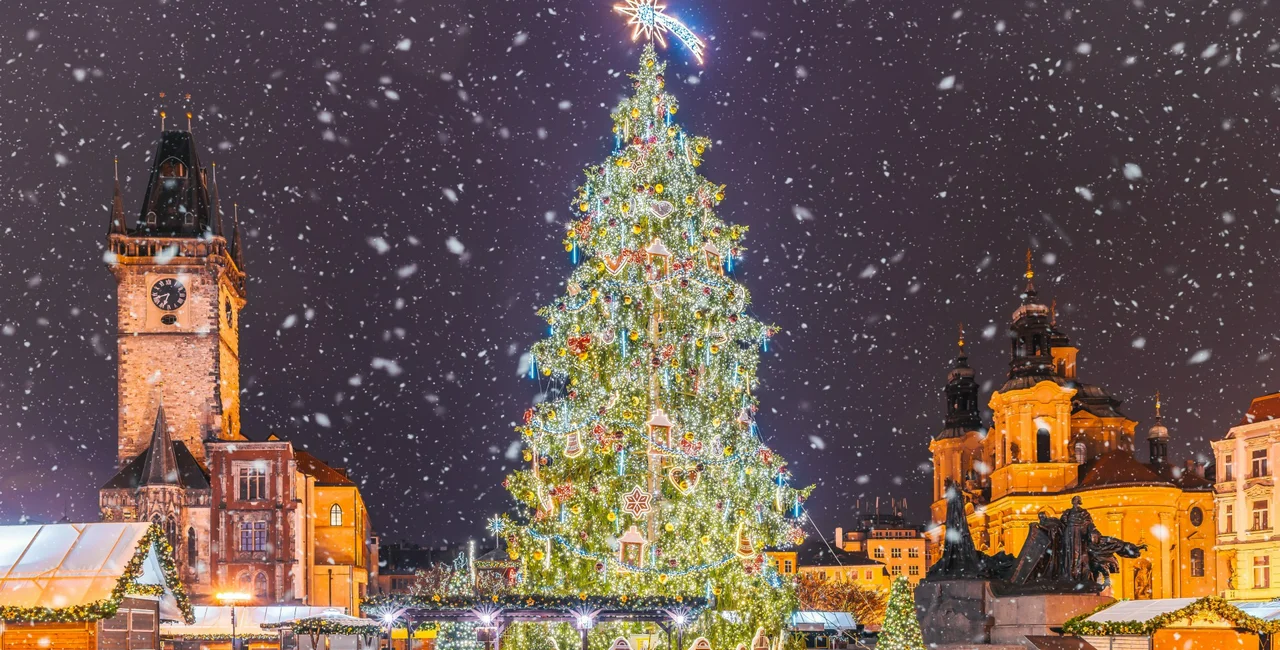 Photo: Shutterstock/Balate.Dorin