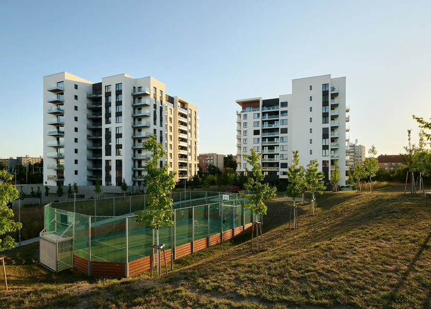 Daramis 01-2026  foto-jiribednar-004 JPG