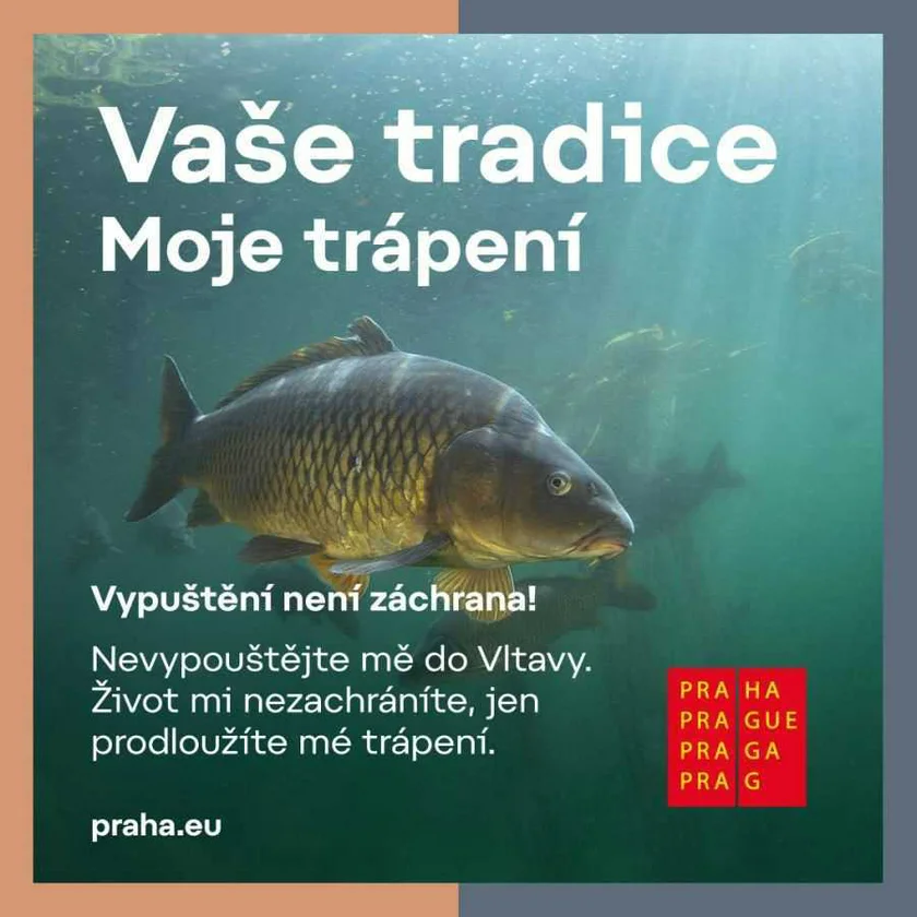 Source: City of Prague