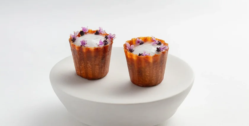 PARZIVAL web 12-2025 jprerovsky-parzival-for-selection-only-9050-f5447e8b-1920x1080-0