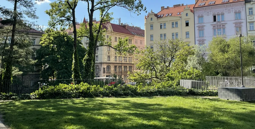 UNYP 12-2025 Maya Anna Drahokoupil IMG_6240 CROP1