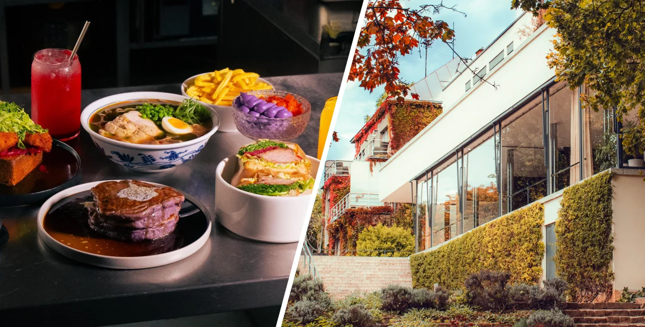 Bango Brno, Shutterstock by cvesper_stepan