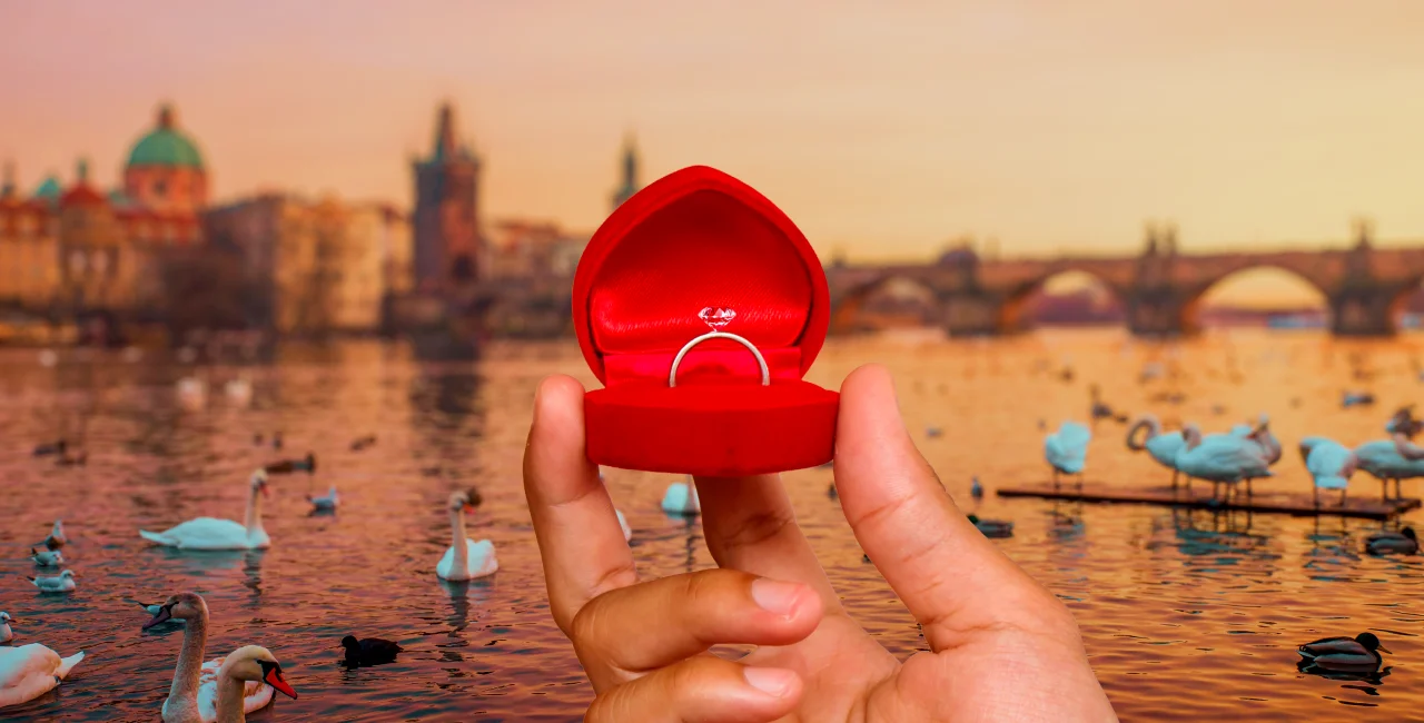 Shutterstock by Cristian M Balate, insofeye