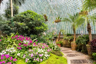 Chasing spring? 10 lush Czech greenhouses to explore now