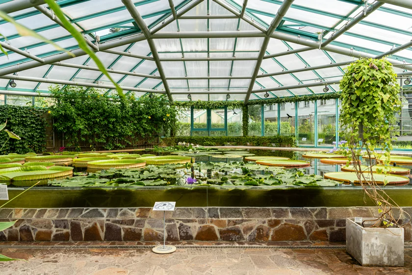 Botanical Garden Liberec