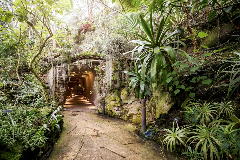 Botanická zahrada hl. m. Prahy