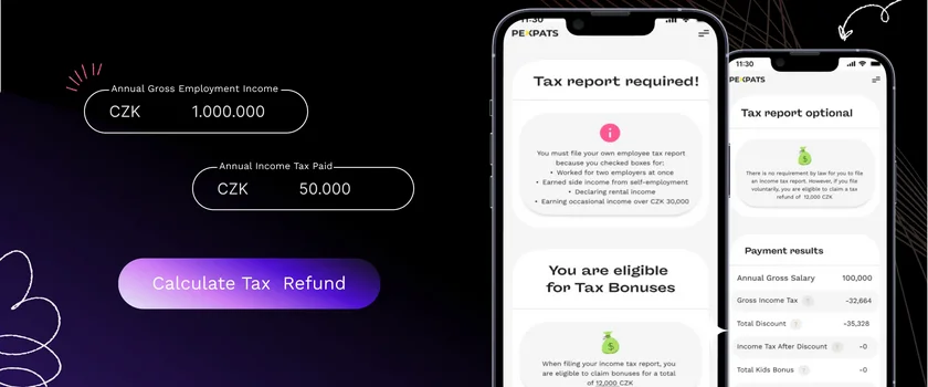 PEXPATS WEBP 12-02-2026 Employee Tax Return Calculator