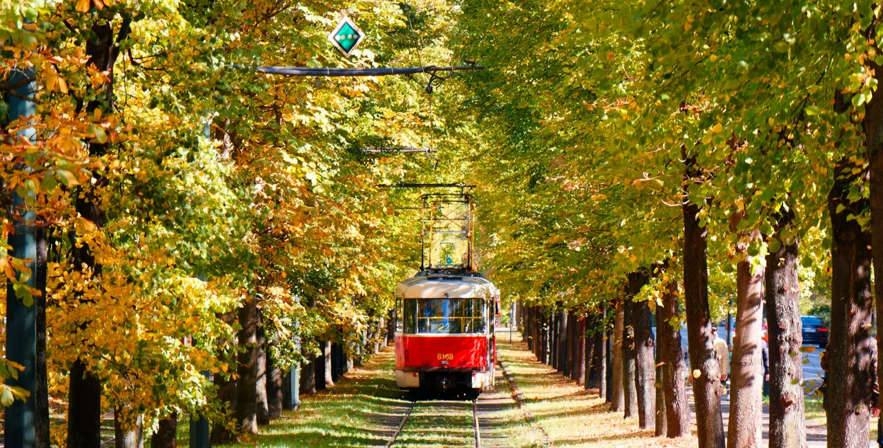 Photo: Shutterstock/AaronChenPS2