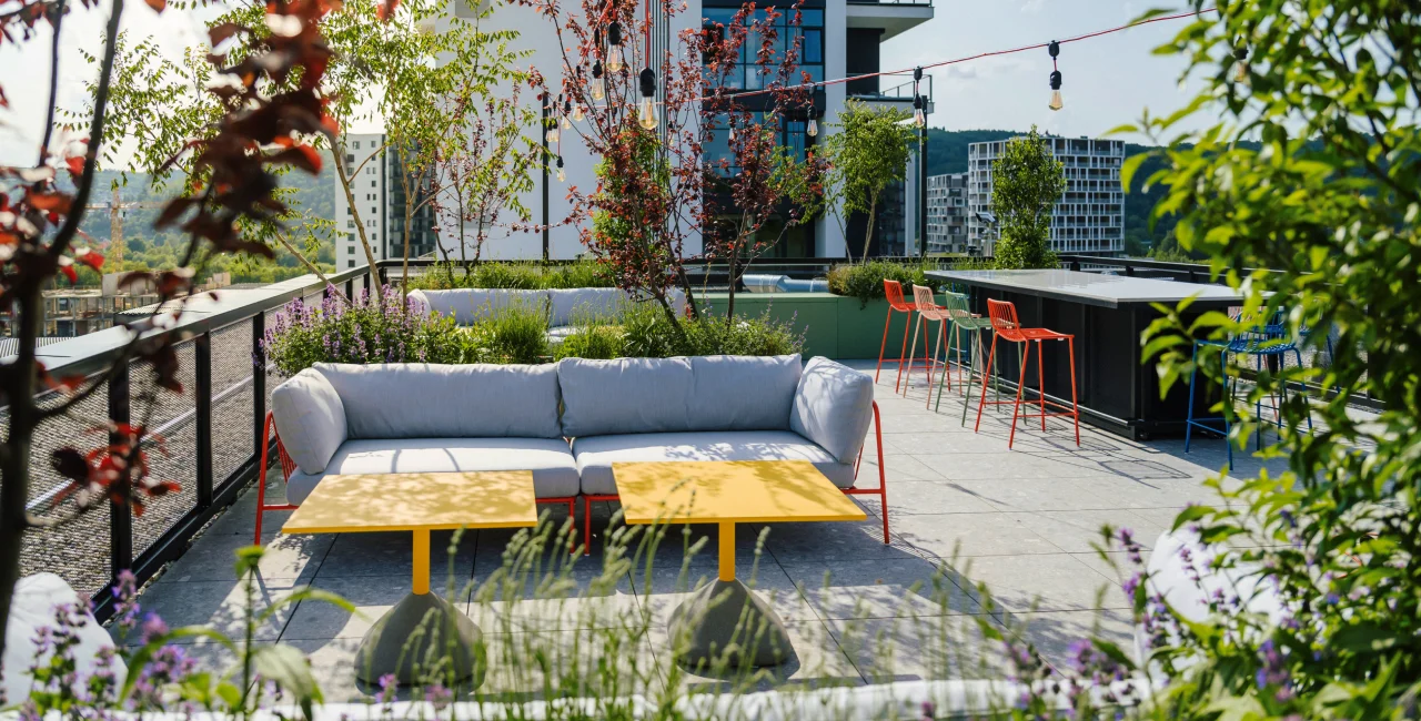 PSN - Ahoj, Vanguard