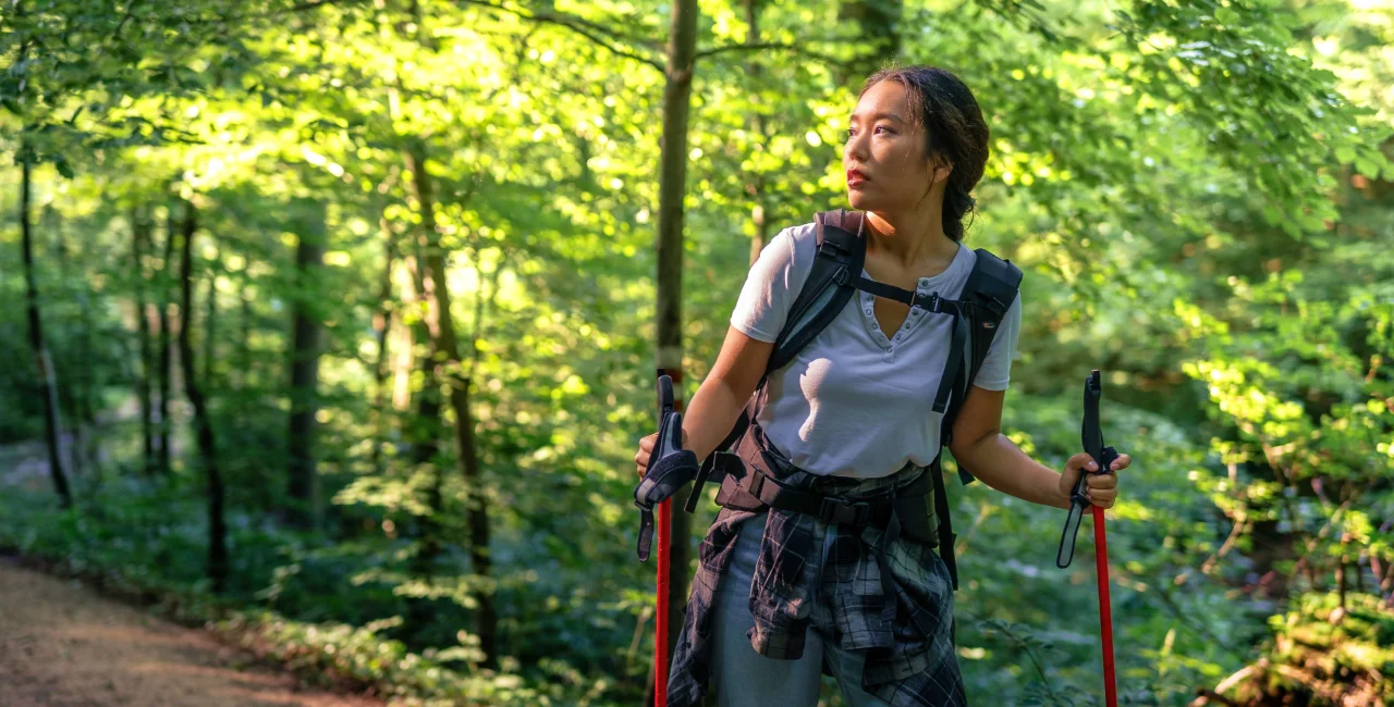 Shutterstock by f.t.Photographer