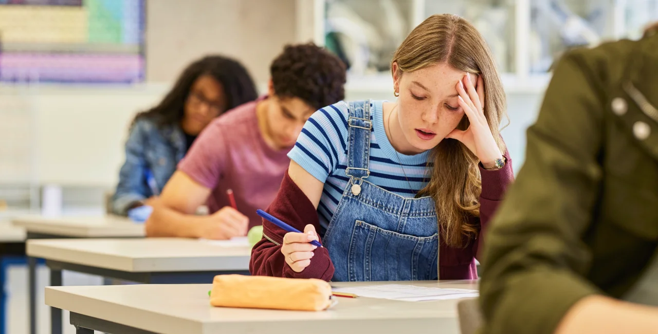 Shutterstock by Rido