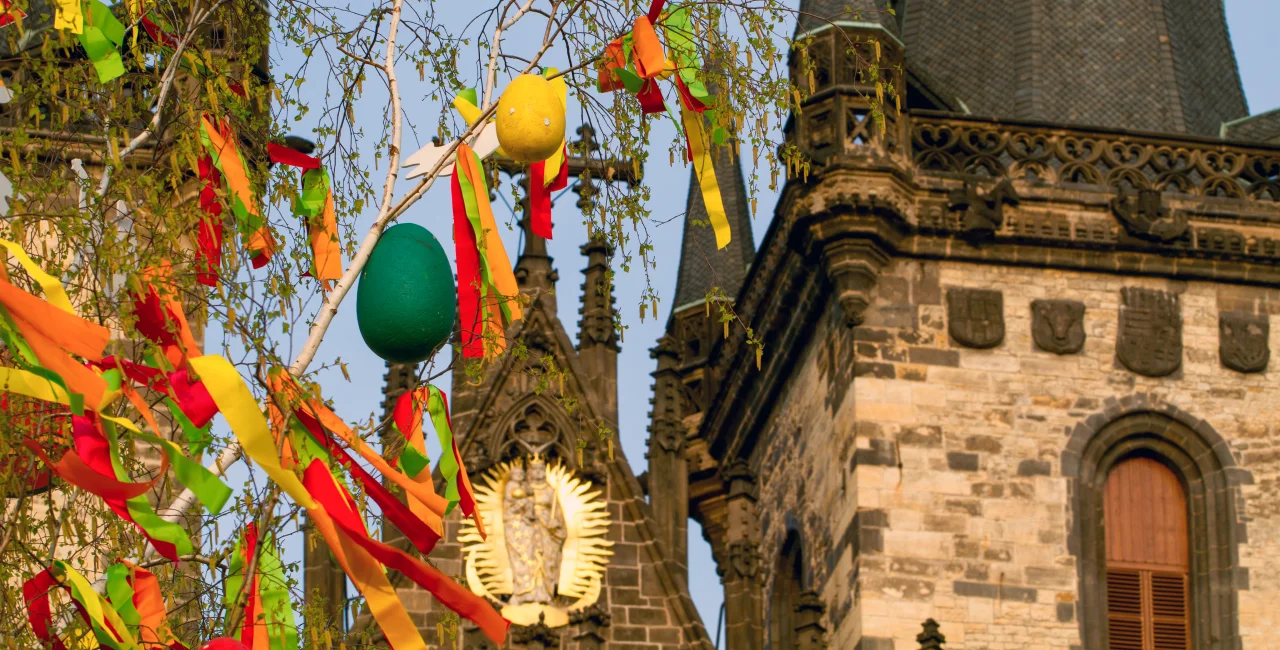 Shutterstock by Svetlana Beleacov