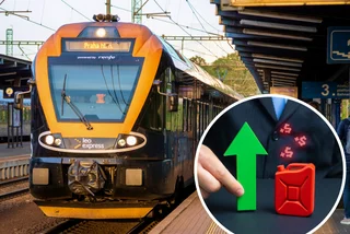 Shutterstock by Prokop Harazim, Andrii Yalanskyi