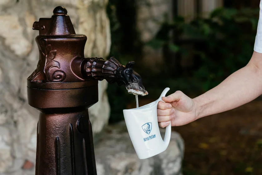 ENSANA SPA Slovakia 20250917_110042-DSD09706