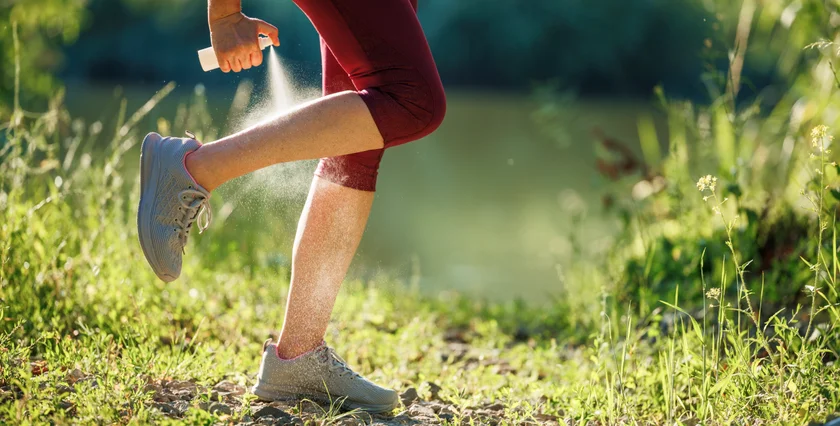 Shutterstock by encierro