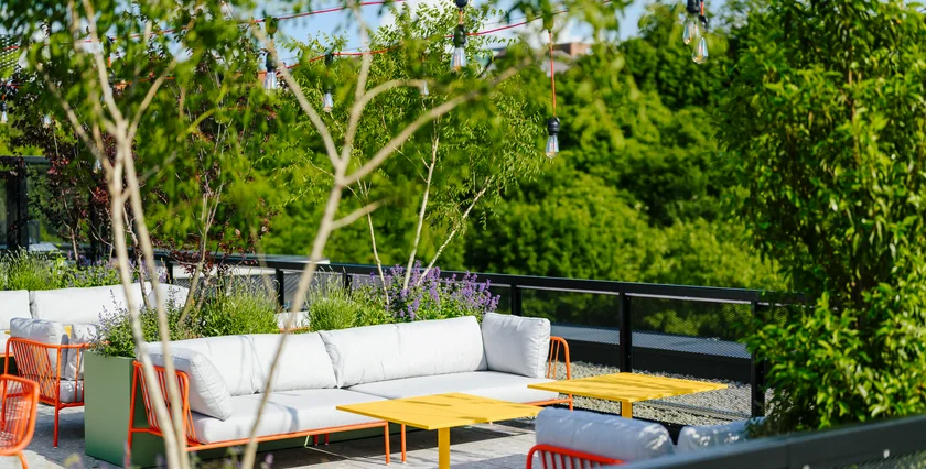 PSN - Ahoj, Vanguard