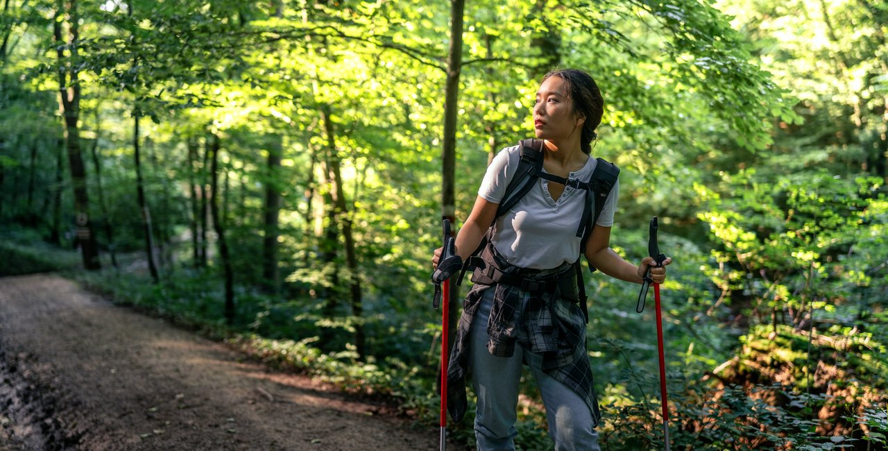 Tick season in Czechia is back. Here’s what you should know