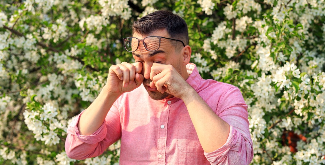 Seasonal allergies in Czechia can be intense. An expert shares how you can cope