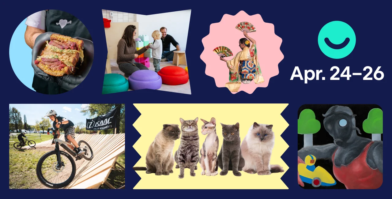 Dox, Holešovická tržnice, Hanami festival, Bike Fest, festival mini