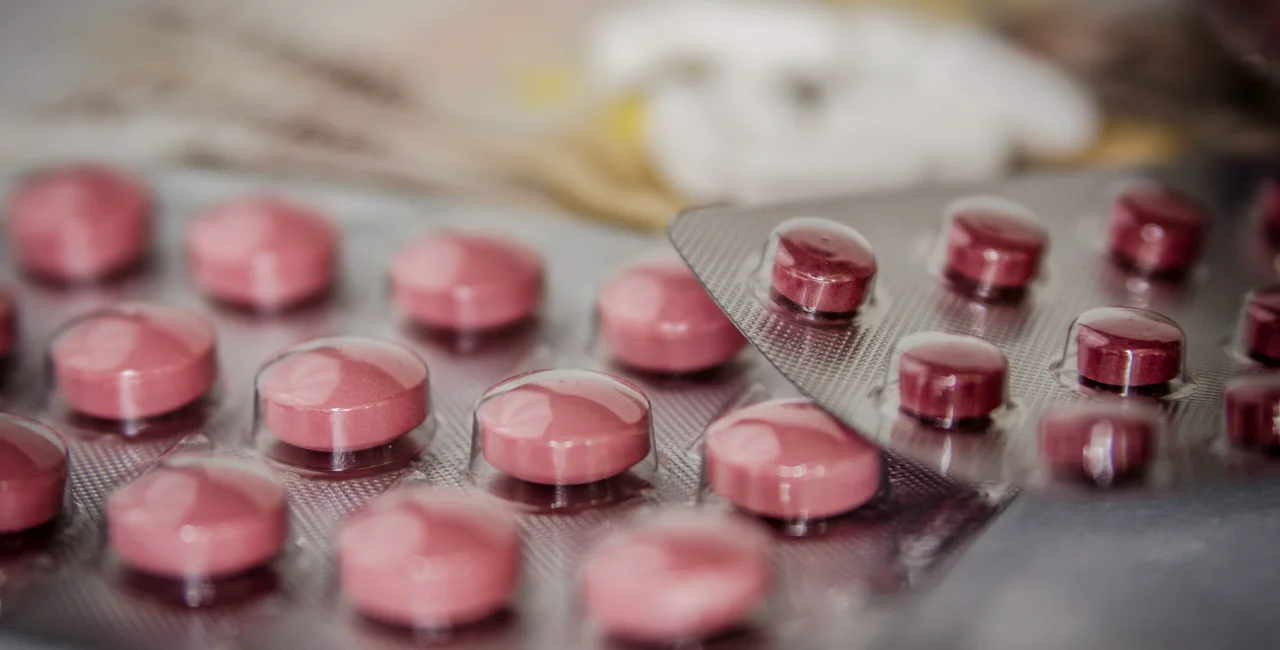 Image by Michal Jarmoluk from Pixabay