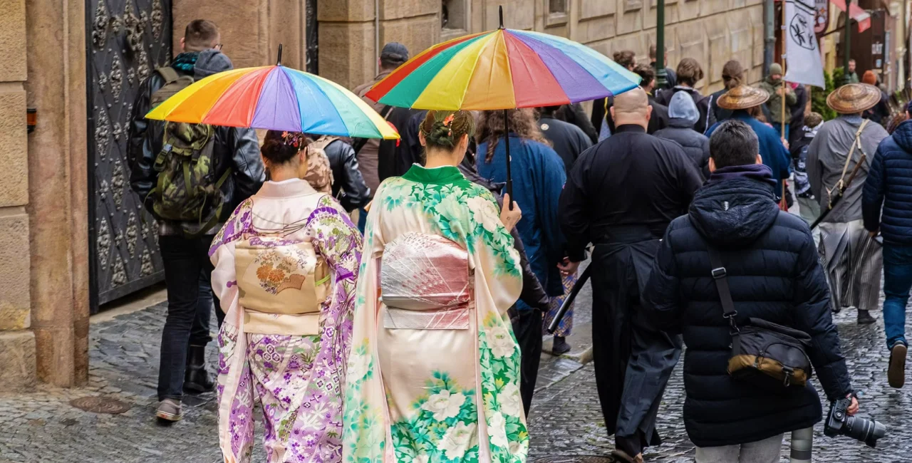 Spring blossoms: Where to soak up Japanese culture in Prague this Hanami season