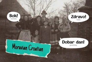 Who speaks Moravian Croatian? Understanding Czechia's minority languages