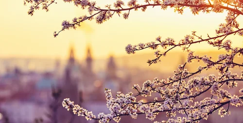 Plan your shopping: Czech stores to close for only one of May’s public holidays