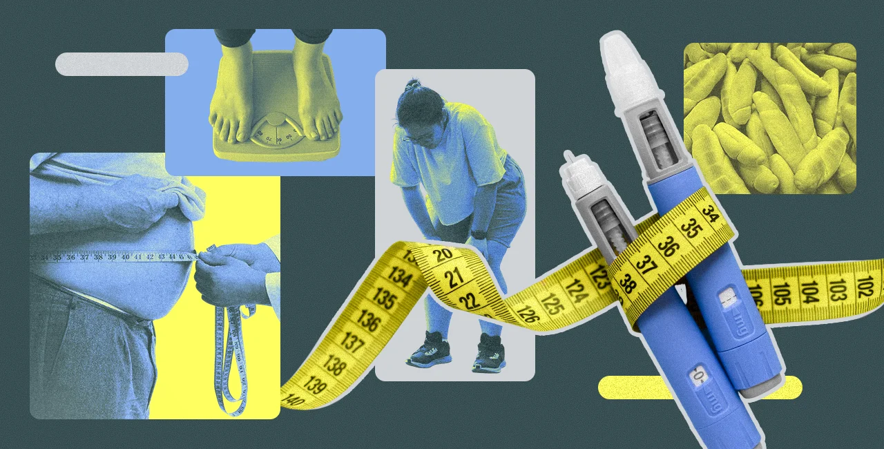Used with the pictures from Shutterstock