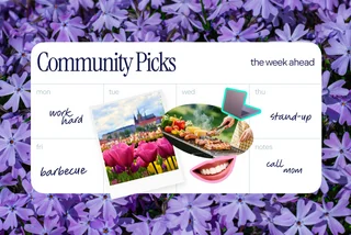 30+ English-friendly events worth your time this week in Czechia