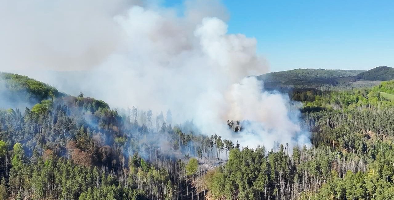 Fire rages in Czech national park four years after devastating blaze