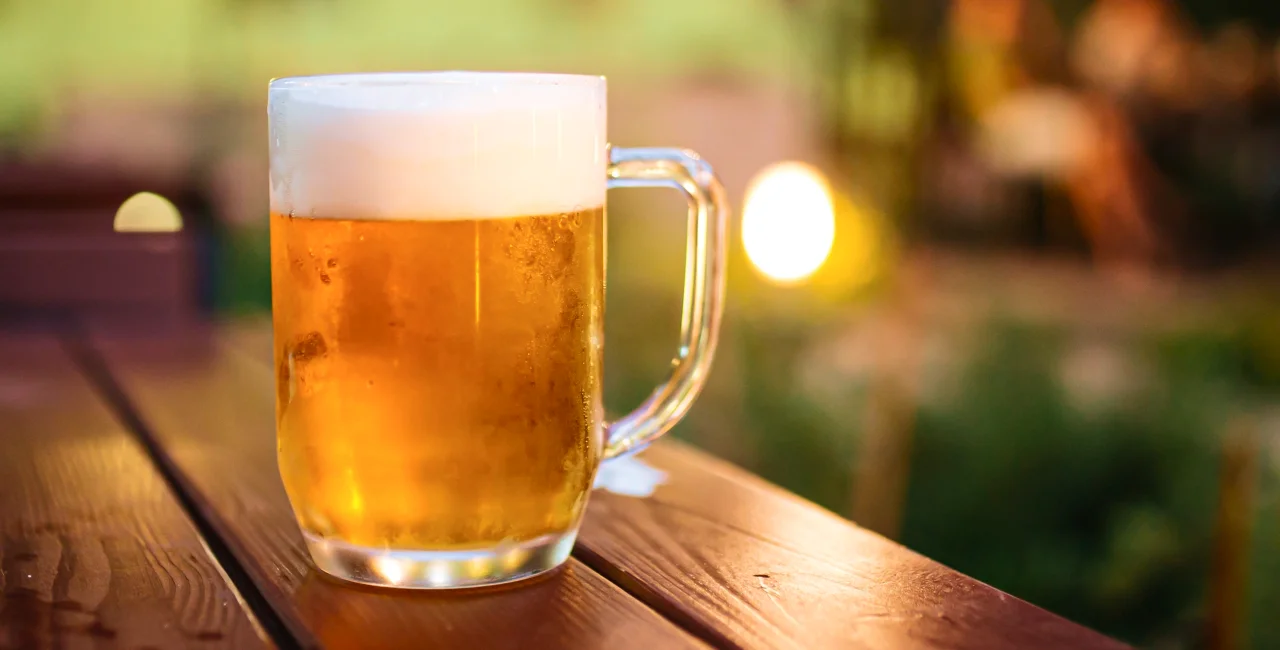 What's on tap at Prague's newest beer garden? Argus for CZK 25