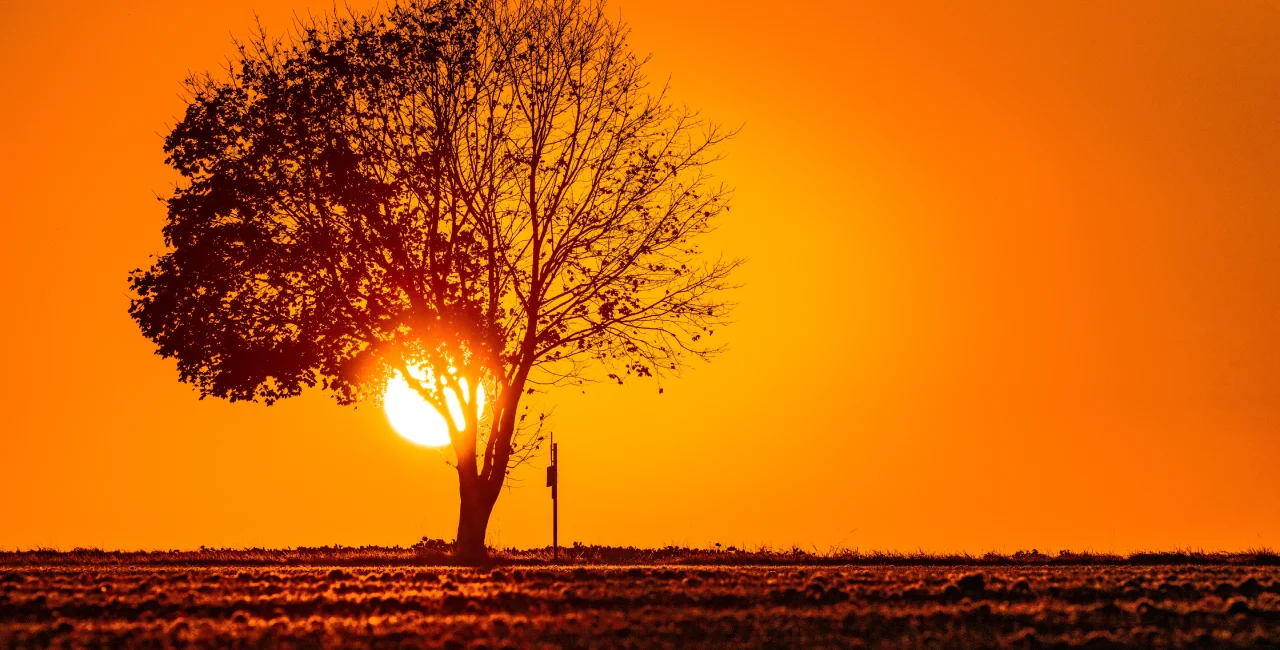 Summer sunrise in Bechyně, South Bohemia. Photo: Shuitterstock / Petrpodhajsky