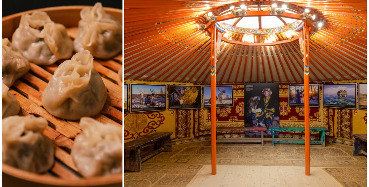 Photos: Instagram/@ub_catering_praha; Petr Hamerník, Prague Zoo