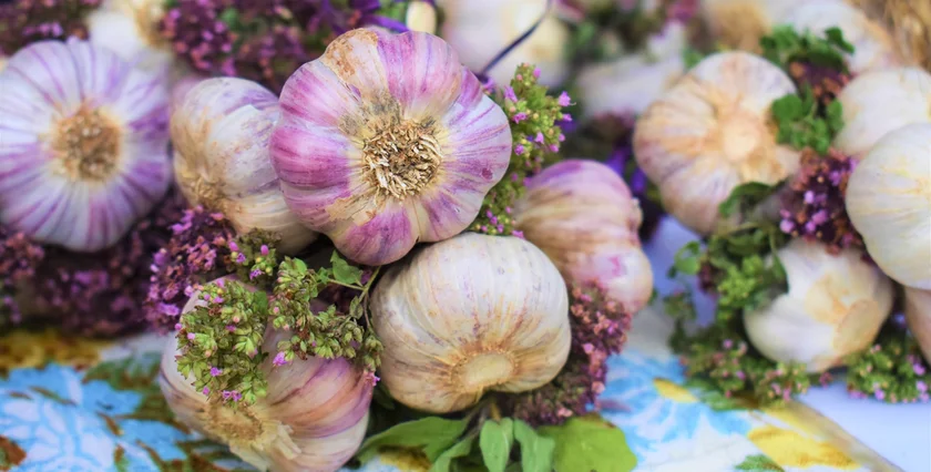 From pickles to garlic: 10 midsummer Czech food festivals worth traveling for